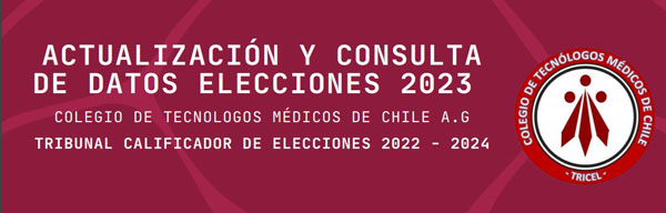 INSTRUCCIONES ELECCIONES 2023 Instructivo de autoconsulta 